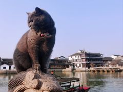-锦溪古镇