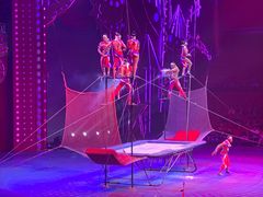 -珠海横琴长隆《卡卡虎奇遇记》