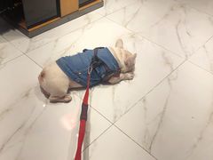 -砂之船奥特莱斯(合肥店)