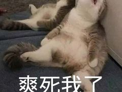 -首都电影院(天津店 中国巨幕)