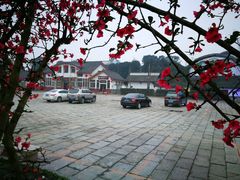 -郫都区农科村景区