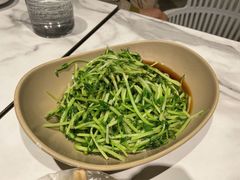 -MR鹅外