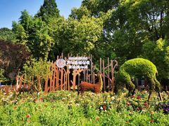 -上海滨江森林公园