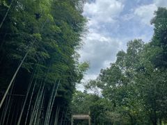 -黄公望隐居地