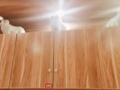 -九府羊鲜羊火锅·烧烤(任丘东风美食街店)