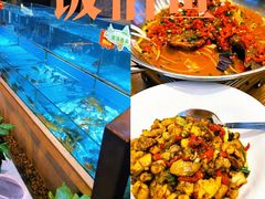 -饭怕鱼(阳光100店)