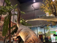 -湖南省地质博物馆