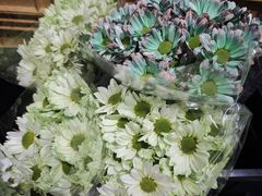-鹿岛生活(熙地港店)