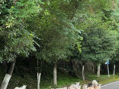 -楠溪江风景名胜区