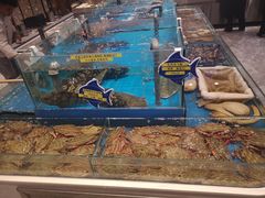 -海铺·渔家虾水饺(皇姑店)
