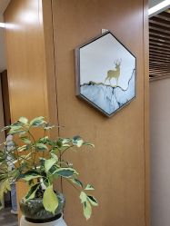 -北京嘉禾妇儿医院
