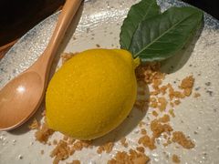 -Mountain House Flushing 川山甲