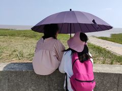 -南汇嘴观海公园