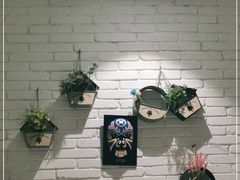 -三猫黑鱼花(南大店)