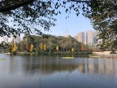-重庆彩云湖湿地公园