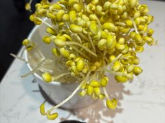 -蜀滋香鲜鱼美蛙火锅(339店)