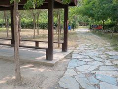 -西青郊野公园