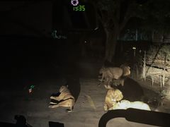 -上海野生动物园