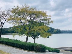 景点-上海月湖雕塑公园