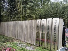 -都江堰中华大熊猫苑