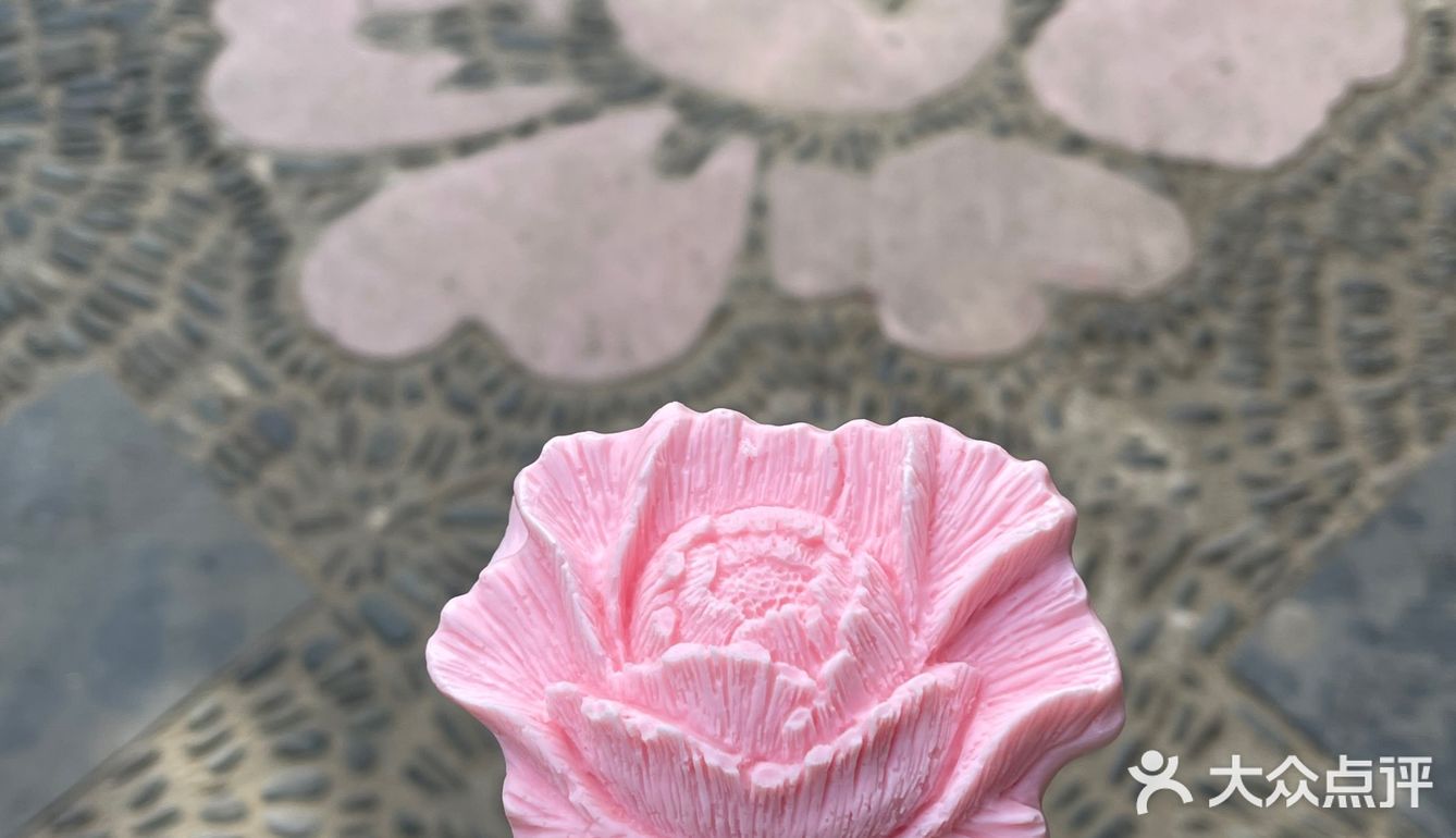 洛阳牡丹，当之无愧的花魁[亲亲][亲亲][亲亲]