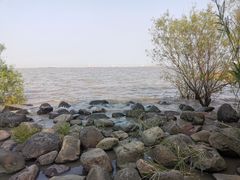 -吴淞炮台湾湿地森林公园烧烤区