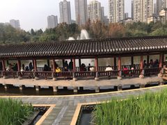 -龙头寺公园