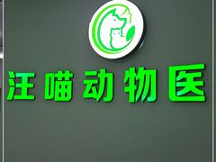 -汪喵宠物医院·骨科心脏影像·犬猫急重症ICU诊疗中心(成华分院)