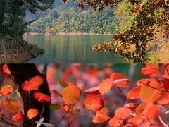 -广州市石门国家森林公园