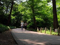 -井之头恩赐公园