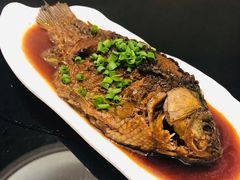 -驻海渔市(置信店)