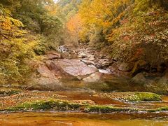 -光雾山旅游景区