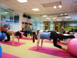 -爱尔乐美孕产瑜伽·普拉提