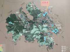 -阳台山森林公园