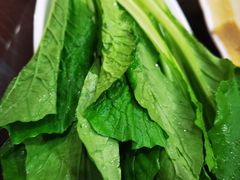 -德羊府老北京羊蝎子火锅