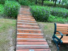 -上海山野camping·户外天幕烧烤·团建拓展营地