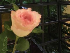 -长沙火车站(地铁站)