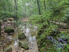 -牛背梁国家森林公园