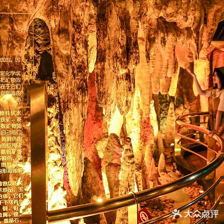 广州越秀公园不只是公园,还有自然博物馆