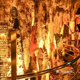 广州越秀公园不只是公园，还有自然博物馆