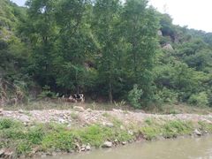 -紫荆关长城漂流