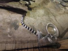 -洛阳龙门海洋馆