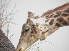 -济南野生动物世界