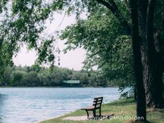 -上海共青森林公园