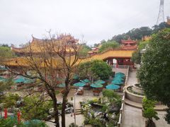 -仙岳公园