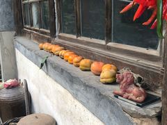 -南窖乡水峪村山情农家