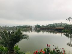 -枫香湖儿童公园