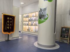 -佩兹宠物医院肿瘤专科·眼科·牙科(黄浦店)
