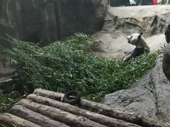 -西安秦岭野生动物园