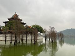 -顺峰山公园